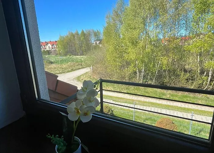 Adrenja * Rowy (Pomerania)